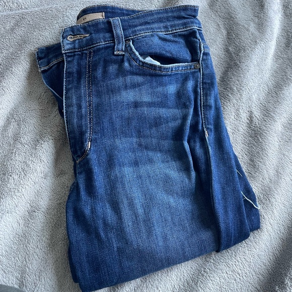Joe’s Jeans Ruth Skinny Raw Hem Jean size 27 - Picture 14 of 15